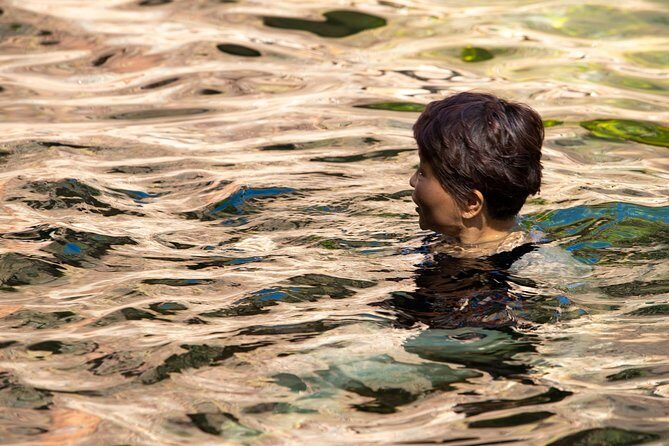 Litchfield National Park Day Tour from Darwin - Who Should Consider This Tour?