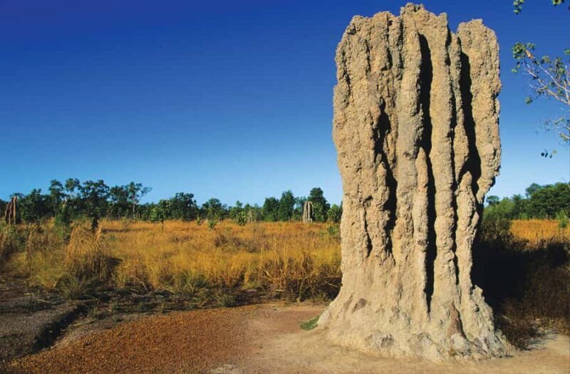 Litchfield National Park: Full-Day & Lunch from Darwin - Exploring the Litchfield National Park Tour from Darwin