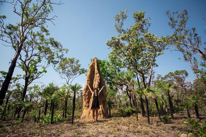 Litchfield National Park Tour with Wetlands or Crocodile Cruise - An Overview of the Experience