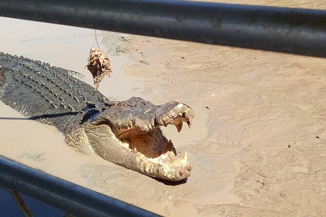 Litchfield National Park Tour with Wetlands or Crocodile Cruise - What Really Sets This Tour Apart