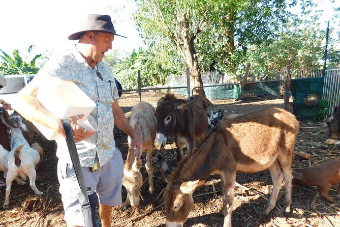 Litchfield Park & Jumping Crocodile Cruise - Transportation and Group Size