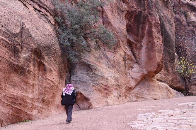 Literary tourism experience in Petra - An In-Depth Look at the Literary Petra Journey