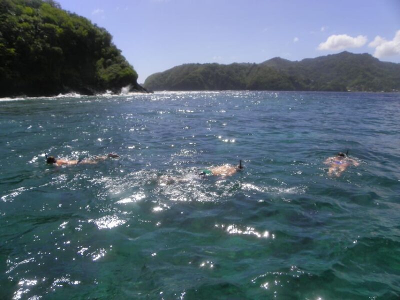 Little Tobago: Glass Bottom Boat Tour - Final Thoughts