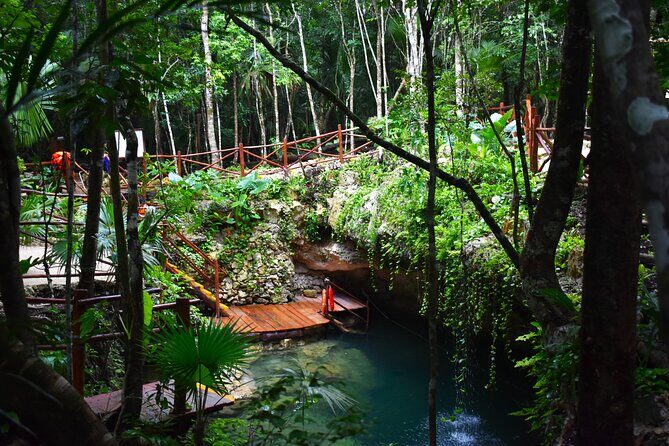 Live the adventure in 3 cenotes in the jungle! - Exploring the Details: What the Tour Offers