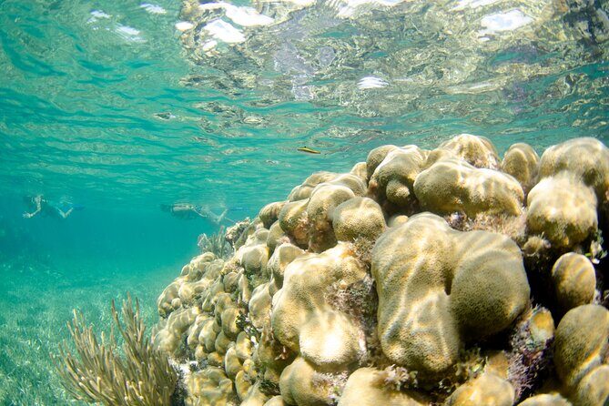 Live this extreme experience, Speedboat tour & snorkel included. - FAQ