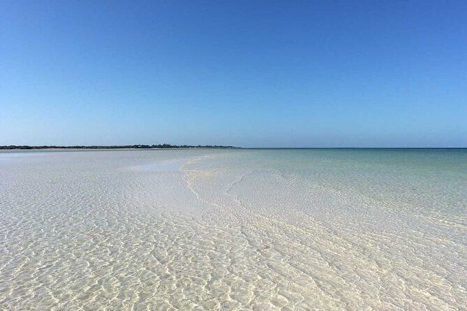 Living Dream, Holbox Tour! Round Transportation from Cancun - Final Thoughts: Is This Tour Right for You?