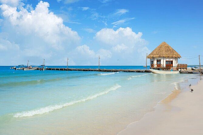 Living Dream, Holbox Tour! Round Transportation from Cancun - FAQs