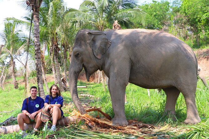 Living Green Elephant Sanctuary Tour from Bangkok and Pattaya - An In-Depth Look at the Experience