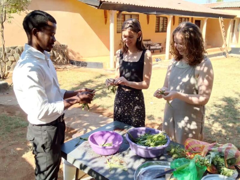 Livingstone: African Foods Cooking Tour with Lunch - An In-Depth Look at the Experience