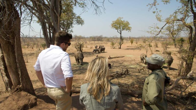 Livingstone: Game Drive and White Rhino Walking Safari - Practical Tips and Considerations