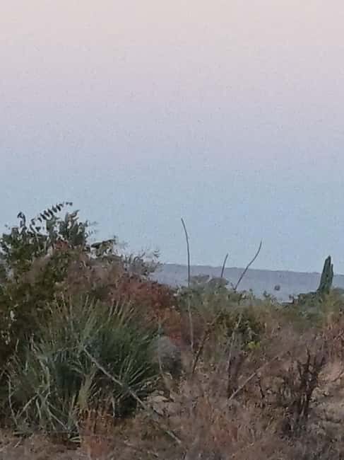 Livingstone: Game Drive & Cultural Tour - FAQ