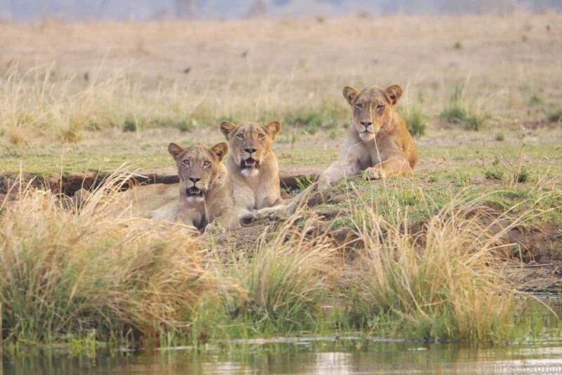 Livingstone: Lochinvar National Park Birdwatching Adventure - Key Points