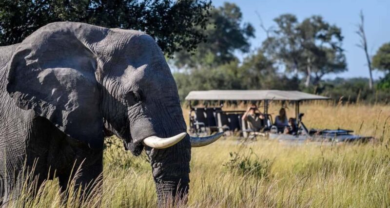 Livingstone: Lochinvar National Park Birdwatching Adventure - Final Thoughts