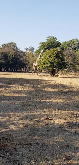 LIVINGSTONE ZAMBIA:SAFARI GAME DRIVE & RHINO WALK - FAQ