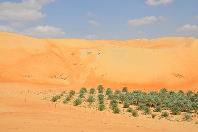 Liwa Full Day Desert Safari from Abu Dhabi - What to Expect from the Liwa Full Day Desert Safari