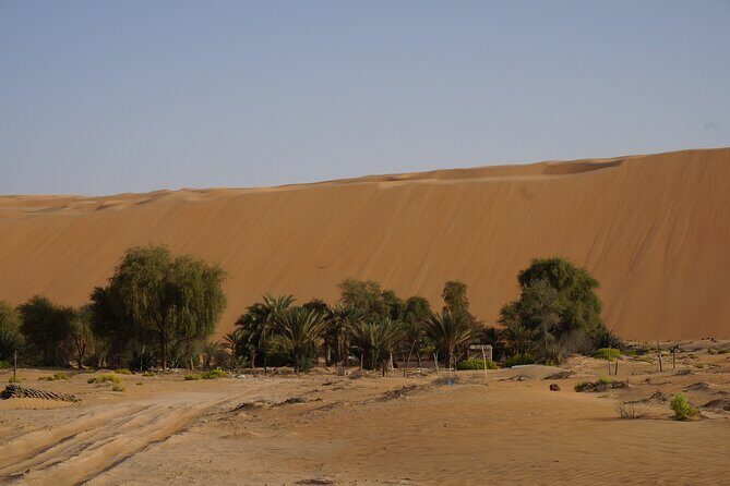 Liwa Full Day Desert Safari from Abu Dhabi - FAQ