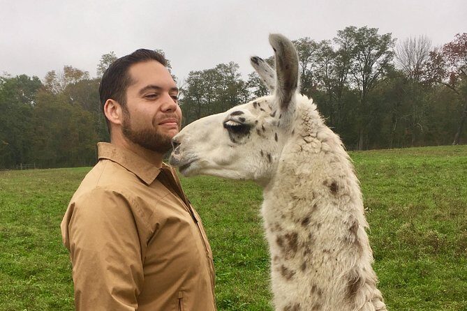 Llama/Alpaca Hike and Farm Tour - An In-Depth Look at the Experience