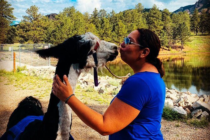 Llama to Lunch in the Rocky Mountains - Connecting with the Experience Provider