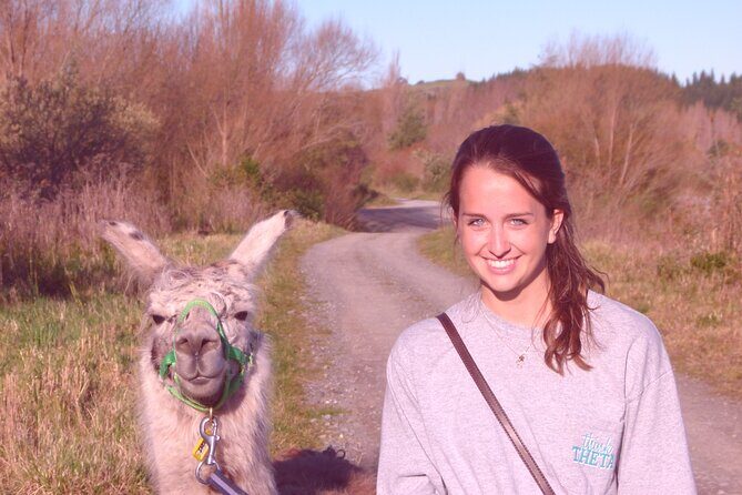 Llama Trek (Taster) - Kowhai River Valley and Native Woodland Tour - Key Points