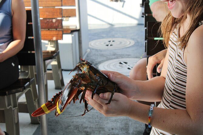 Lobstering Eco Tour - Who Will Love This Tour?