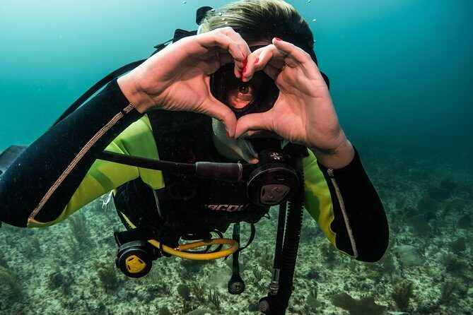 Local Dive in Playa del Carmen - What You Can Expect Day-to-Day