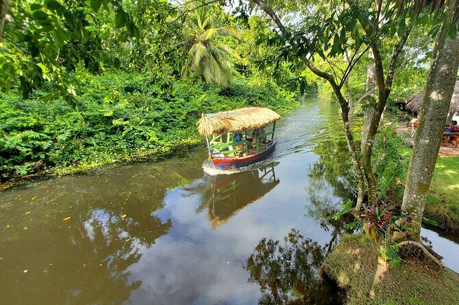 Local Excursion || Jungle Safari Excursion - What to Expect from the Jungle Safari Excursion