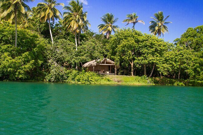Local Excursion || Jungle Safari Excursion - How the Tour Works: Practical Details