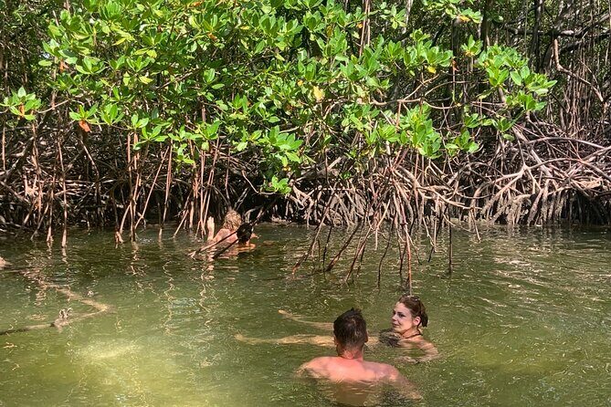 Local Excursion | Paradise Island Punto Rucia & snorkeling - Transportation and Group Size