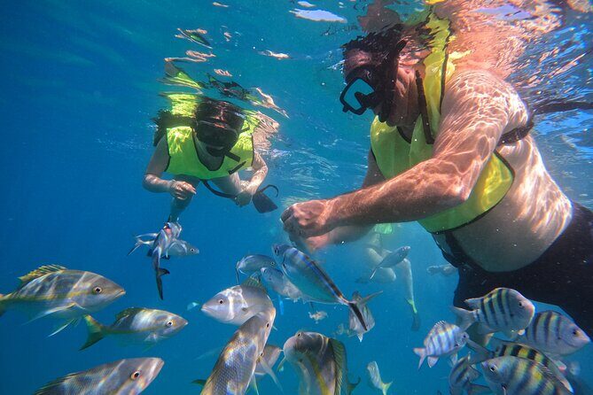Local Excursion | Paradise Island Punto Rucia & snorkeling - Pricing and Value
