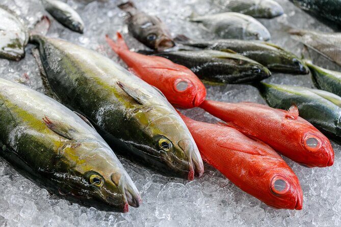 Local fresh fish shop premium backyard experience - An In-Depth Look at the Experience
