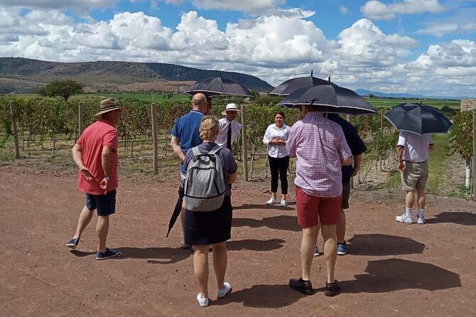 Local Vineyard Tour & Wine Tasting at the Independence Valley - Starting Point and Transportation