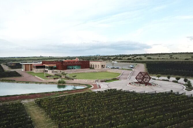 Local Vineyard Tour & Wine Tasting at the Independence Valley - The Art of Wine Tasting and Food Pairings