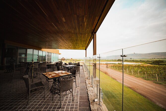 Local Vineyard Tour & Wine Tasting at the Independence Valley - Post-Tour Options and Leisure