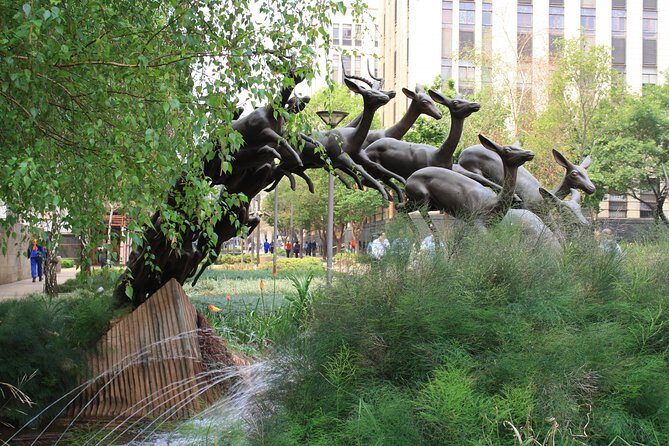 LocalPlaces Understanding Johannesburg Walking Tour - The Itinerary in Detail