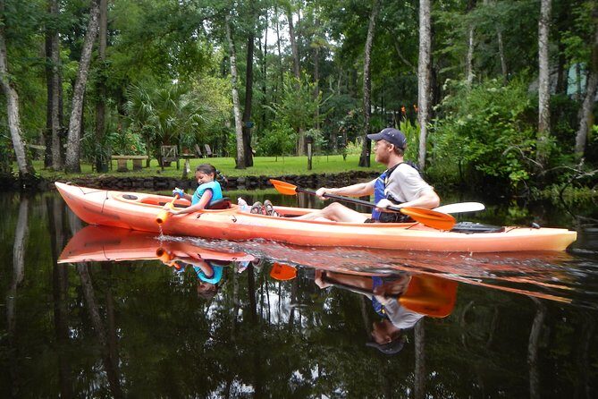 Lofton Creek Kayaking Trip with Professional Guide - The Value of This Experience