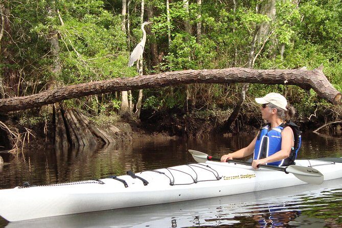 Lofton Creek Kayaking Trip with Professional Guide - FAQs