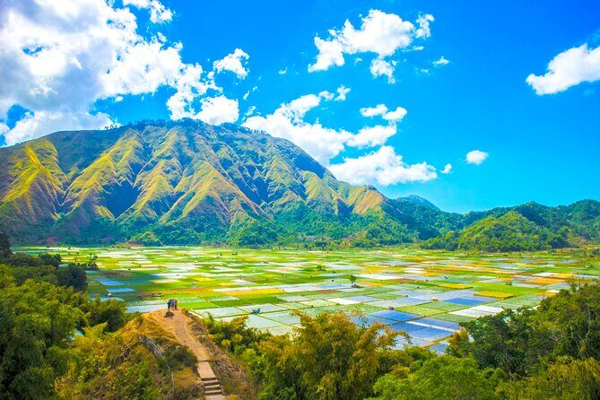 Lombok: Exclusive Sendang Gile, Tiu Kelep & Selong Hill Tour - Hiking Up to Selong Hill for Panoramic Views
