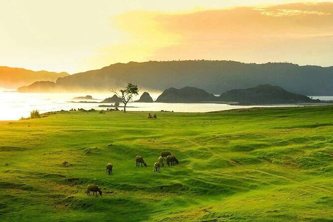Lombok Tour For Cruise Passangers - The Sum Up