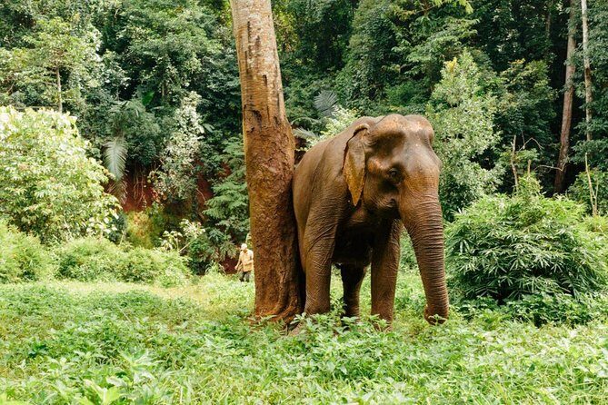 Lombok Wildlife Park Skip the Line Ticket - Detailed Review of Lombok Wildlife Park