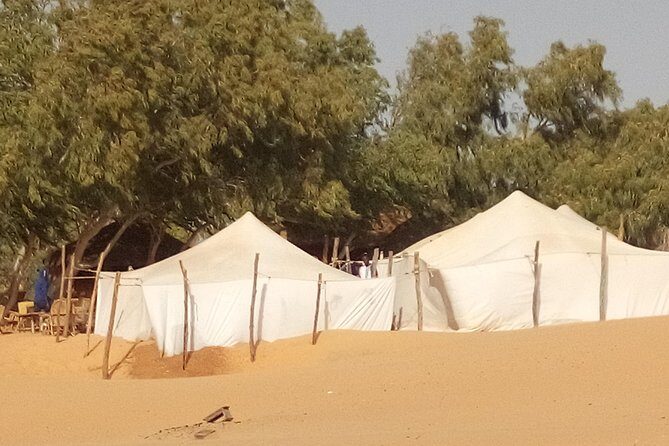Lompoul desert with delta du Saloum 2 nights 3 days trip. . - Introduction to the Tour Experience