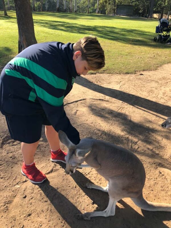 Lone Pine and Brisbane City Highlights - Who Should Consider This Tour?