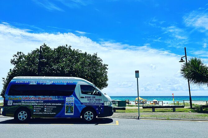 Lone Pine, Brisbane Highlights and Lunch! - The Sum Up