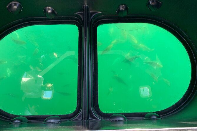 Long Beach Glass Bottom Boat Eco-Tour - Key Points