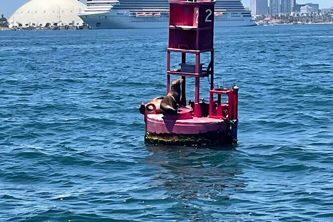 Long Beach Glass Bottom Boat Eco-Tour - FAQ