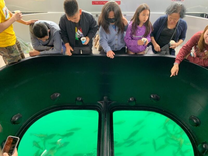 Long Beach: Glass Bottom Boat Harbor Ecotour - An In-Depth Look at the Experience