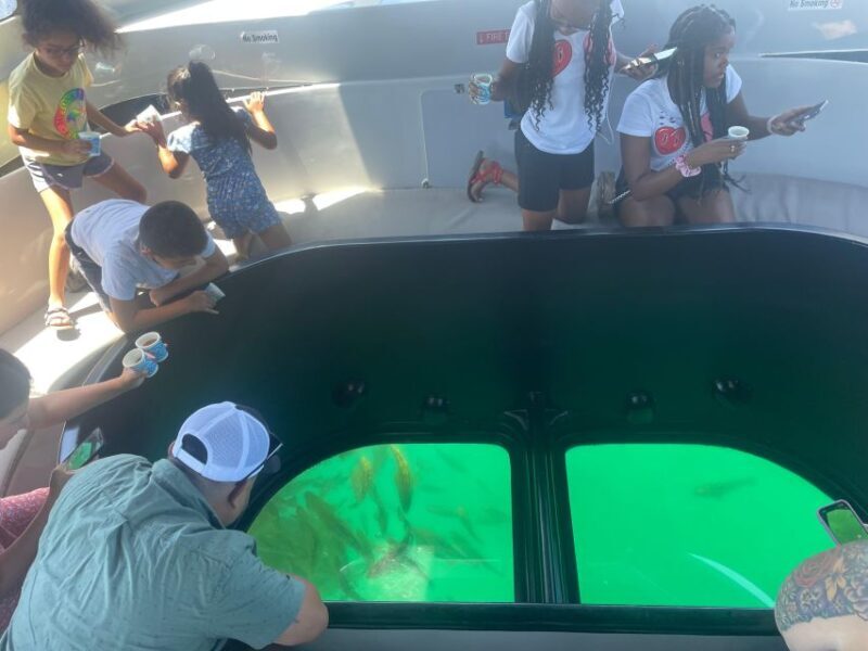 Long Beach: Glass Bottom Boat Harbor Ecotour - Why Choose This Tour?