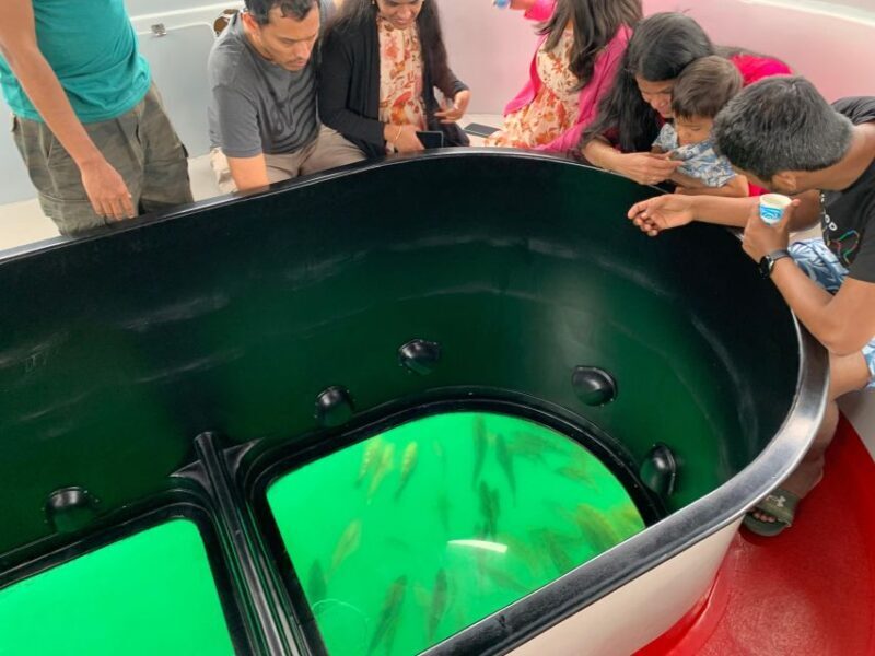 Long Beach: Glass Bottom Boat Harbor Ecotour - The Sum Up