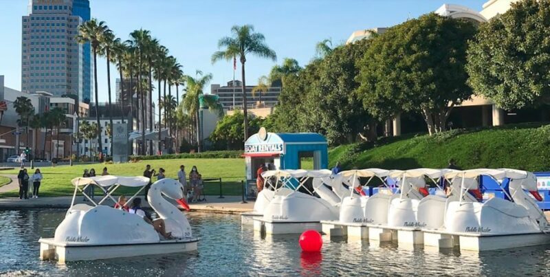 Long Beach: Swan Boat Rental at Rainbow Lagoon - What makes this experience stand out: