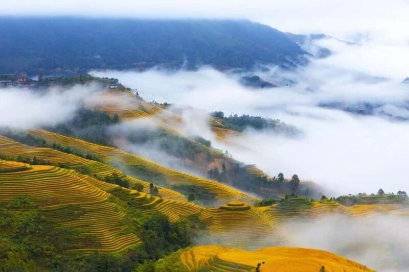Longji Rice Terraces: 1-Day Private Tour - The Itinerary in Detail
