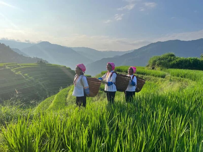 Longji Rice Terraces: 1-Day Private Tour - Practical Tips for Travelers